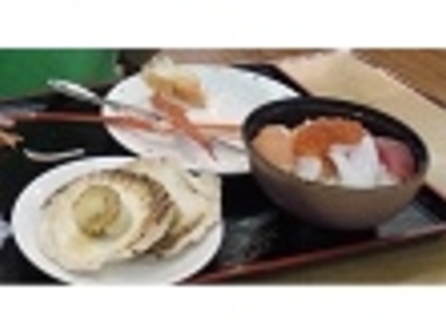 ����C�N���A�Ă��z�^�e�A�Y���C�K�j_�����̓��h�@��]�{��