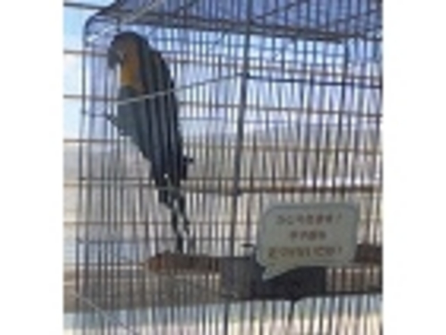 RSECŔuڂvTOΉzƂIH_̓h@]{