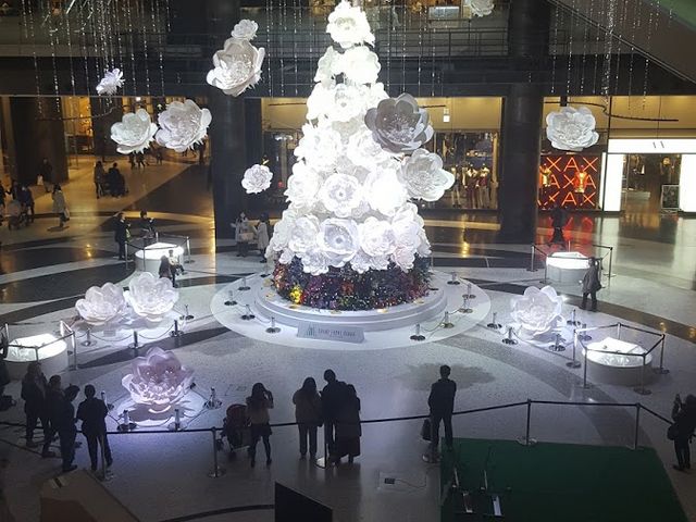 ȑOBA傫ȃNX}Xc[̎ʐ^_Otg