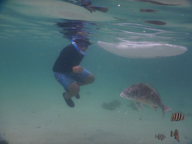 傫ȋɂт!! ܂̋ߋɐlԂ̕hLhL(L~`)_