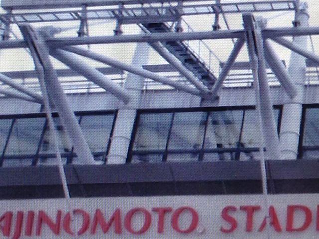 ���C�u���_���̑f�X�^�W�A��