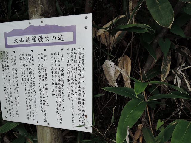 ���{���i�X���ɓo�^����Ă���_�T��������R����