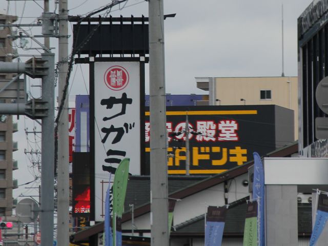 �G�h����̃T�K�~�̓��e�ʐ^1