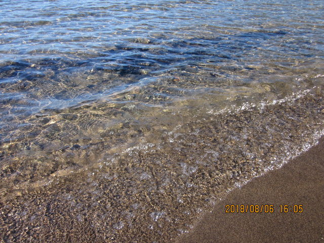 �������̂͗t���ς������ł��Q_Pacifica(�p�V�t�B�J)