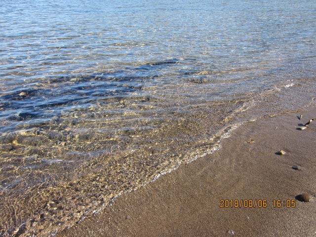 �������̂͗t���ς������ł��R_Pacifica(�p�V�t�B�J)