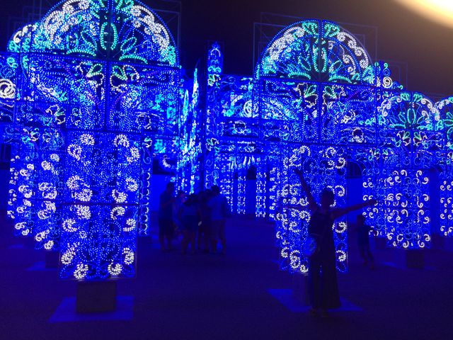 u̋{av
sȐ̐EL܂B_O[ie{X OiVA