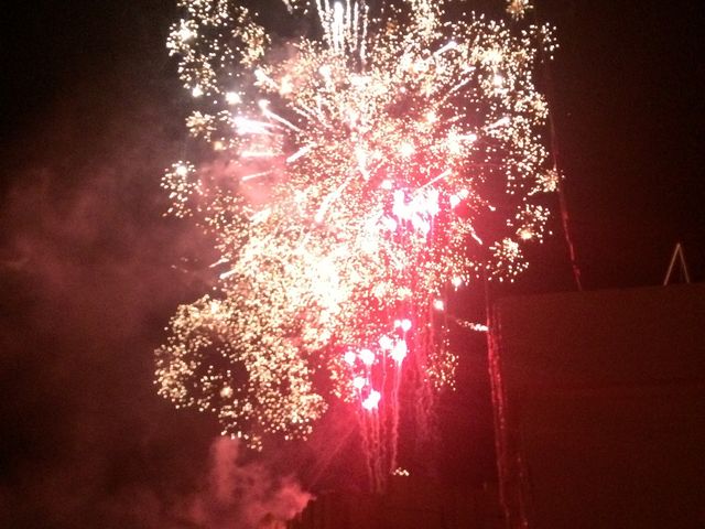 ԉ΂͋߂đ唗͂ł_O[ie{X OiVA