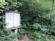 mitu����̋T������i�c�c�W�j�̓��e�ʐ^1