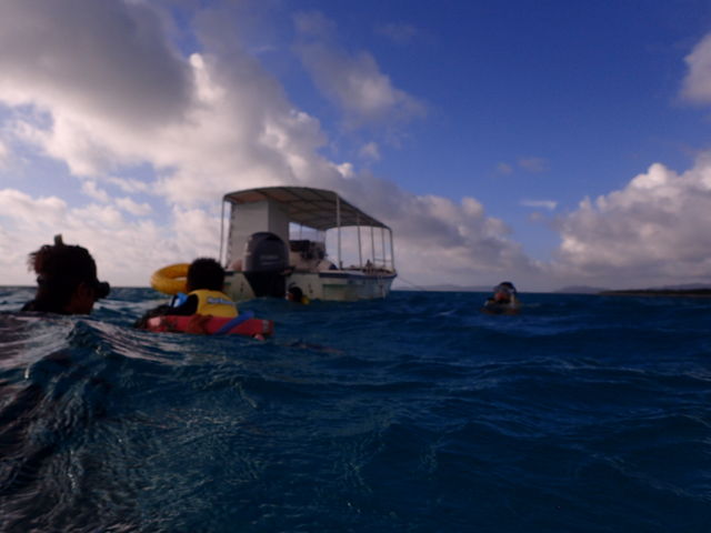 �V���m�[�P���̗l�q_����ف[���X