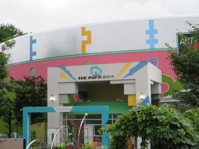 �O��_�k�C���A�C�X�p�r���I��