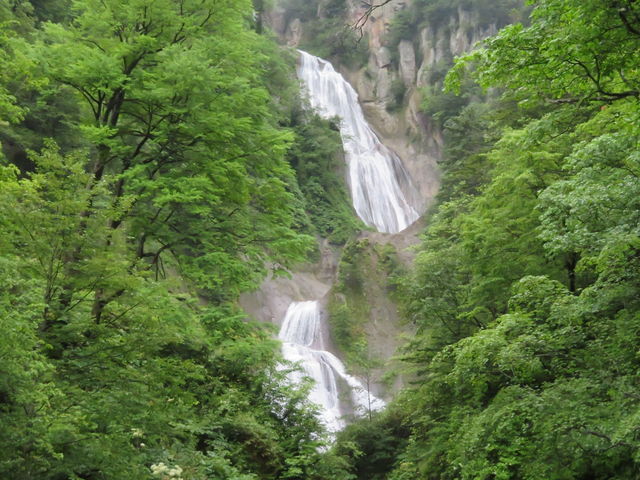 yosshỷH߂̑̓eʐ^1