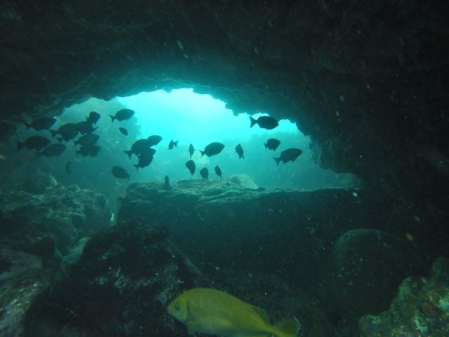 �_�C�r���O���ɎB���Ă�������ʐ^�̈ꕔ_���r�[�i�_�C�o�[�Y