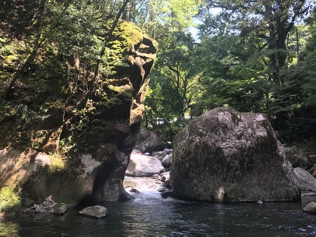 񂳂̊xԌkJLv̓eʐ^3