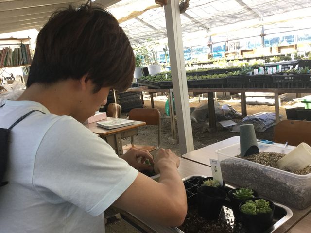 �فX�ƍ�ƒ��i�΁j�^���ł�_Saiki�@Engei