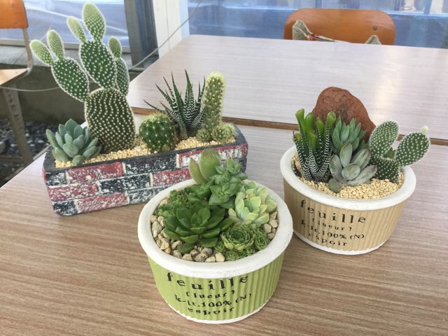 �����Ȋ�ł����\�����ς�������܂���B��͏����𑫂��Ă�OK_Saiki�@Engei