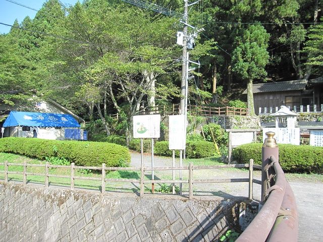 ���̌���_������