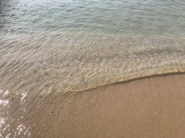 �����x�������ł�_�l�l�C������