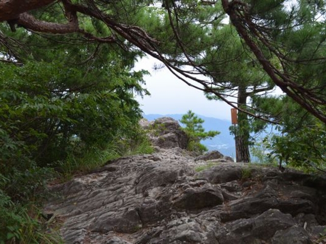 ����ƒ���I_�P�����R