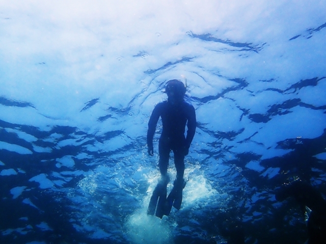 �]�������Ԃ̓X�m�[�P�����O��OK_�u���[���[���h