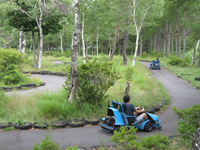 S[J[gł__΃S[J[gEݎ]