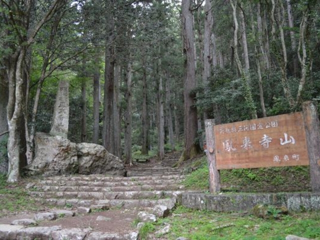 ������͌��C�悭���R_�P�����R