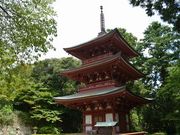 񂳂̑tRRώ@̐X̓eʐ^1