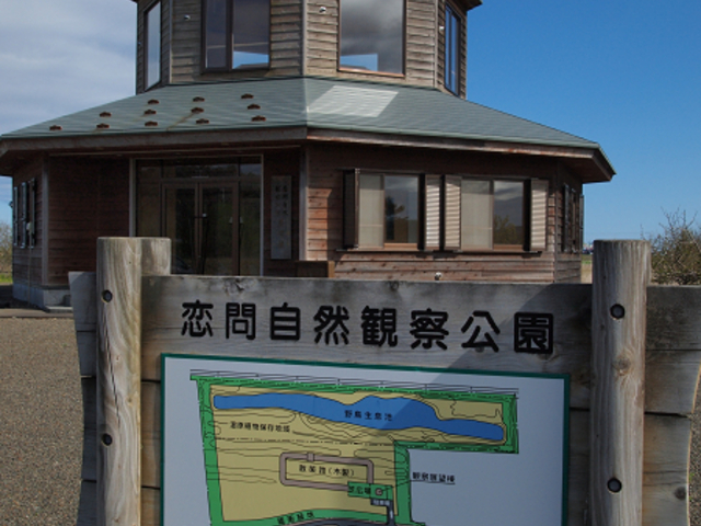 u-min̔f⎩Rώ@W]̓eʐ^1