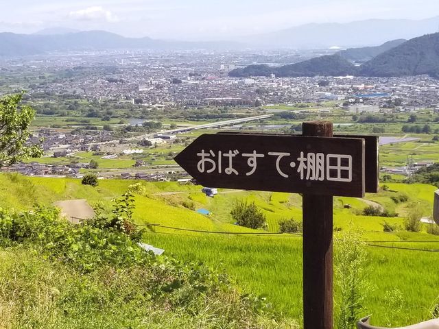 ���ݐ؂��n���Ă������̌i�F_�H��