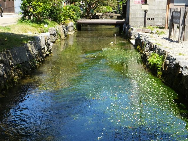 ����E�n����̔~�ԑ�