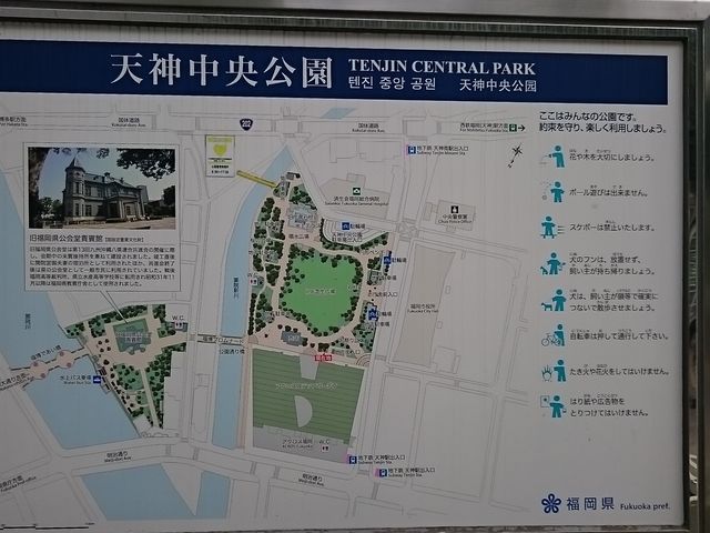 �ē��}_�V�_��������