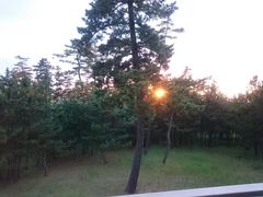 Lagar̋xɑ\o痢lւ̓eʐ^1