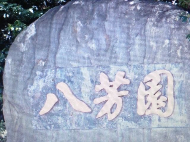 ���F��_���F��