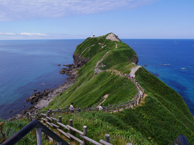 �_�Ж��̓���܂łЂ�����c_�_�Ж�