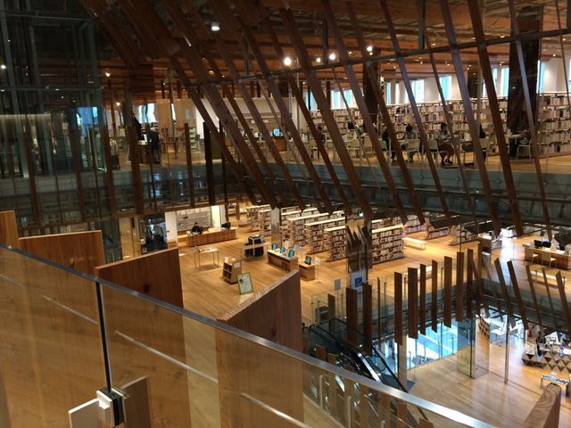 �C���������������A�S�n�悢��Ԃ��SF����_�x�R�s�K���X���p��