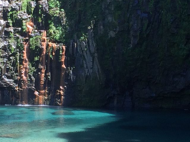 �������ď����E���̂Ƃ���ł��I�R�̐F�Ƃ̃R���g���X�g���������B_�Y��̑�