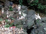 邪񂳂̏Rא_Ђ̓eʐ^2