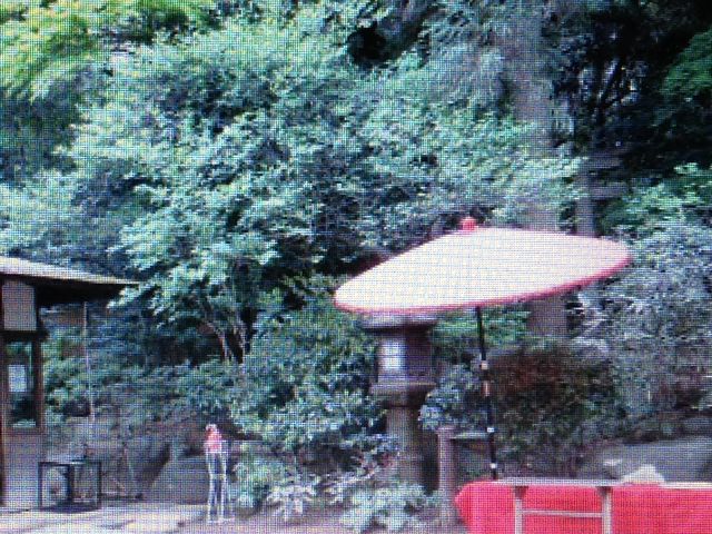 �뉀_���F��