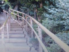 悱̒֎R 뉀ւ̓eʐ^1