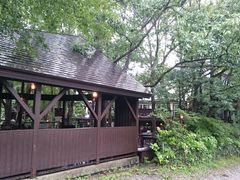 ܂̃x[J[JtFEyj[Cւ̓eʐ^1