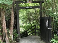 Vg̗ف@T@₵ւ̓eʐ^1