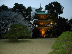 KAZZ̒֎R 뉀ւ̓eʐ^1