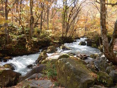 ZUNDAM̈C̗ւ̓eʐ^1