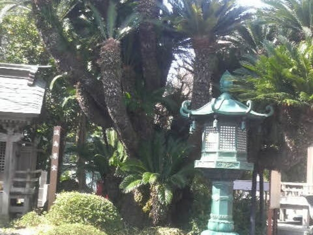 �Ő���_�Ő���