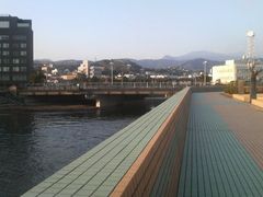 Ƃ񂳂̂܂Vւ̓eʐ^1