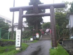 Ƃ񂳂̑D_Ђւ̓eʐ^1