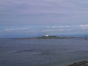 Ƃ񂳂̑ԍ铔̓eʐ^1