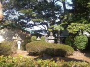 ���Ƃ��񂳂�̈ɓ��S�e�̕�̓��e�ʐ^2