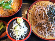 �͂Ȃ���񁚂���̂����V ���c��`��2�^�[�~�i���X�̓��e�ʐ^1