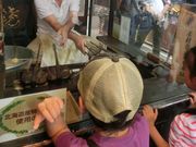 Ă΂܂܂̌cؑƐl`Ė{܂̓eʐ^1