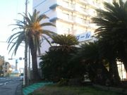 Ƃ񂳂̎scClv[̓eʐ^2